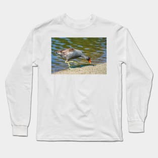 Common gallinule 3 Long Sleeve T-Shirt